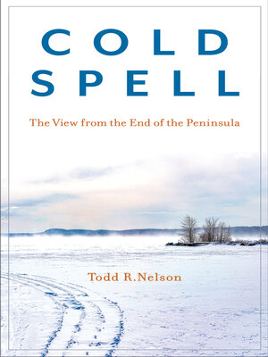 cover image of Cold Spell